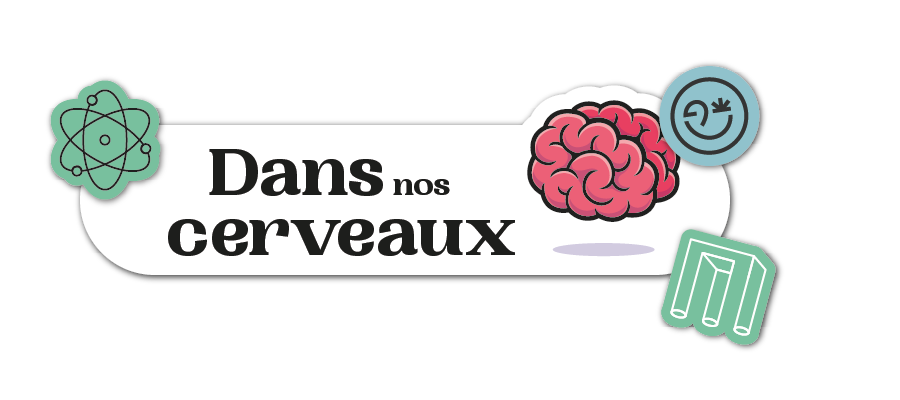 Dans nos cerveaux