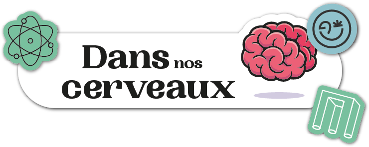 Dans nos cerveaux