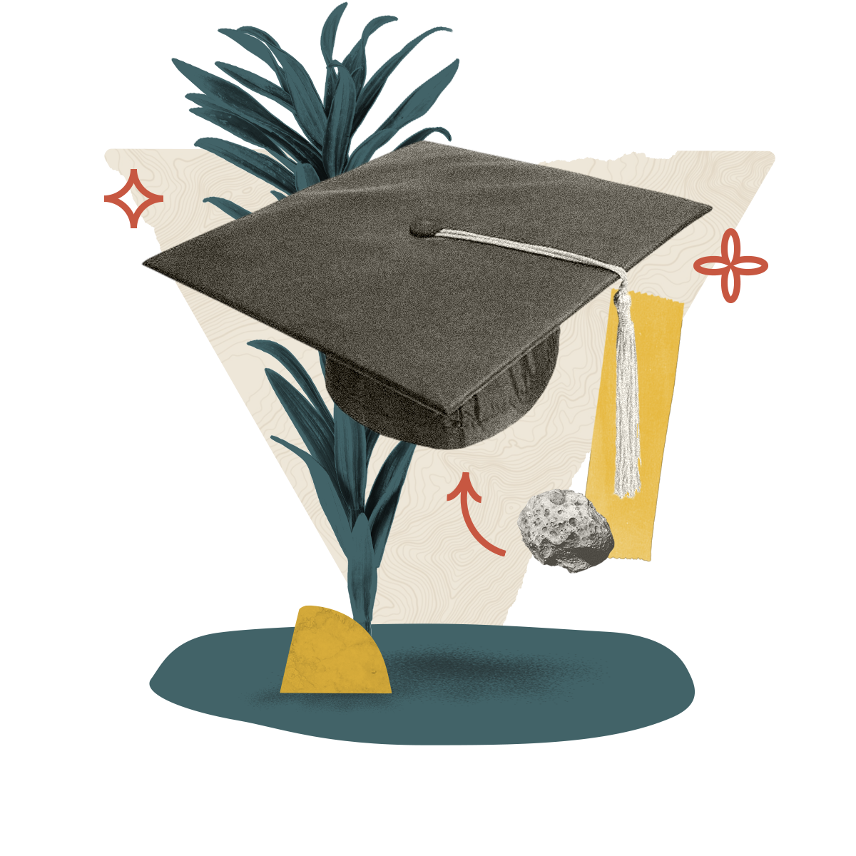 Illustration certification
