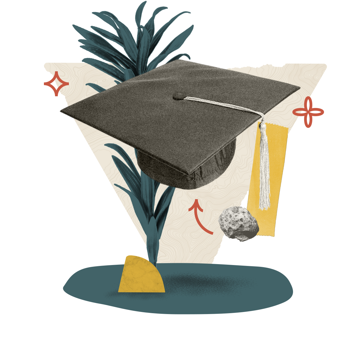 chapeau de diplômé