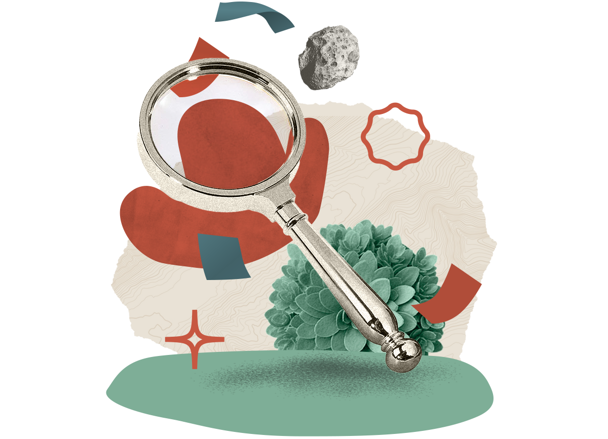 illustration loupe