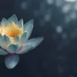https://www.eurecia.com/sites/default/files/styles/header/public/thumbnails/image/meditation-travail-exercice.jpg