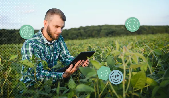 Technicien agricole utilisant une tablette numérique au milieu d’une culture biologique