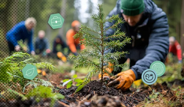 Technicien plantant un jeune arbre en forêt