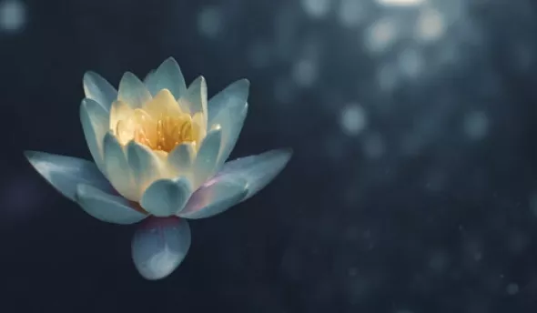 https://www.eurecia.com/sites/default/files/styles/header/public/thumbnails/image/meditation-travail-exercice.jpg