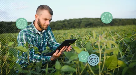 Technicien agricole utilisant une tablette numérique au milieu d’une culture biologique