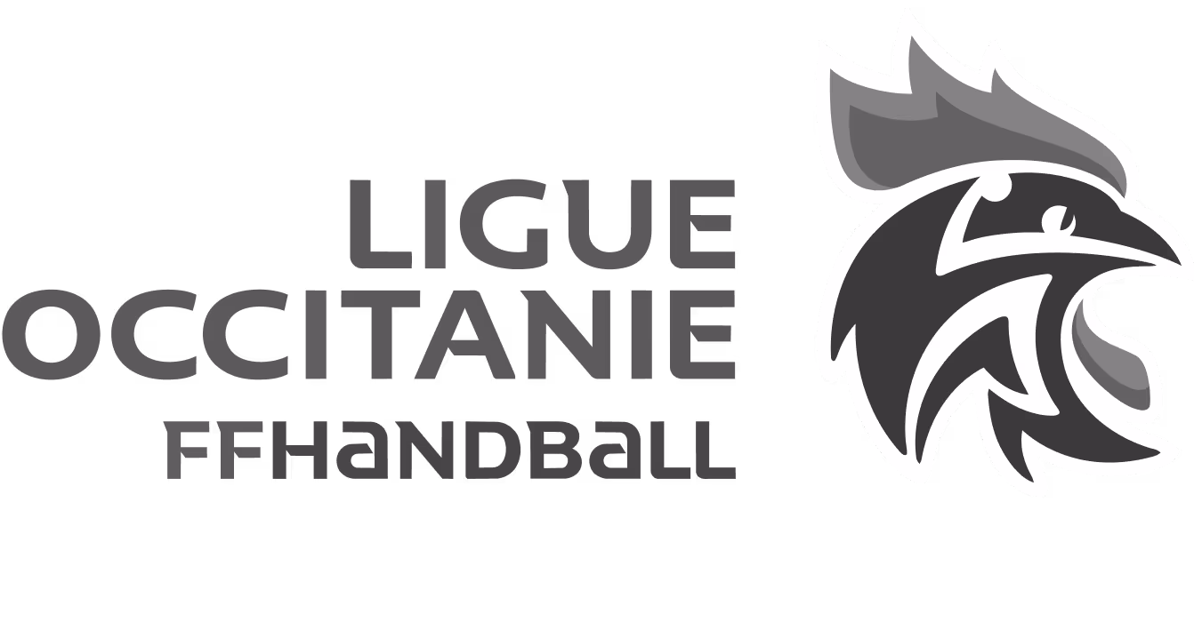ligue occitanie ffhandball